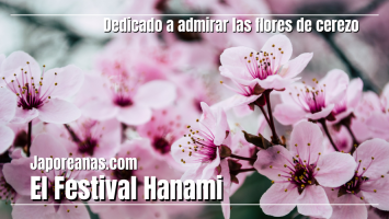El festival Hanami