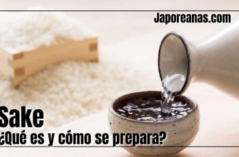 ¿Qué es el Sake y cómo se prepara?