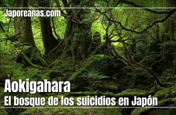 Aokigahara, el bosque más trágico de Japón
