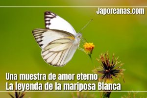 Leyenda de la mariposa blanca, un cuento de amor japonés