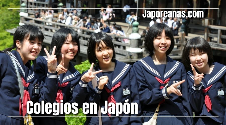todo lo mejor todos los días Haz un experimento Datos sobre las escuelas en Japón | Japoreanas