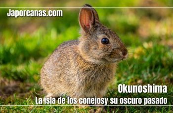 Okunoshima: La isla de los conejos en Japón