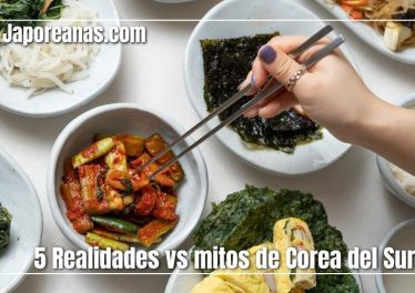realidad vs mitos de corea