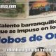 El niño y la garza se hace viral por las mentiras de una colombiana